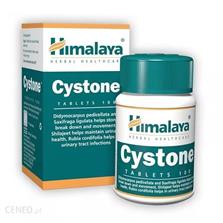 Himalaya Cystone 100 tabl.