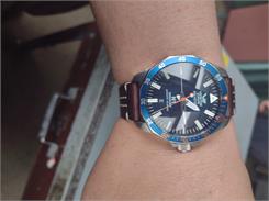 Vostok Europe NH35A-225A615