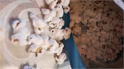 Popcrop Popcorn Z Niebieskiej Kukurydzy Z Olejem Kokosowym I Solą Himalajską Bio 50g