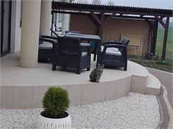 Curver Zestaw Corfu Fiesta Brązowy