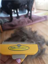 FURminator dla krótkowłosych psów ras dużych L