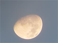Celestron SkyMaster 20x80 (71018)