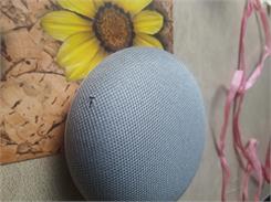 Google Home Mini Chalk (GA00210)
