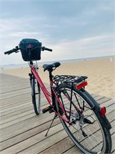 Kross Trans 2.0 Sr 28 Niebieski Biały Połysk 2021