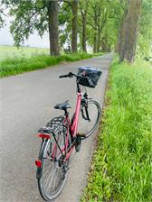 Kross Trans 2.0 Sr 28 Niebieski Biały Połysk 2021