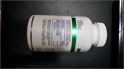 SFD Bacopa Monnieri 90 tabl