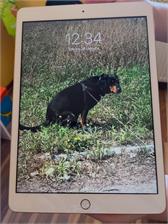 Apple iPad 10,2" 128GB Wi-Fi Złoty (MYLF2FDA)