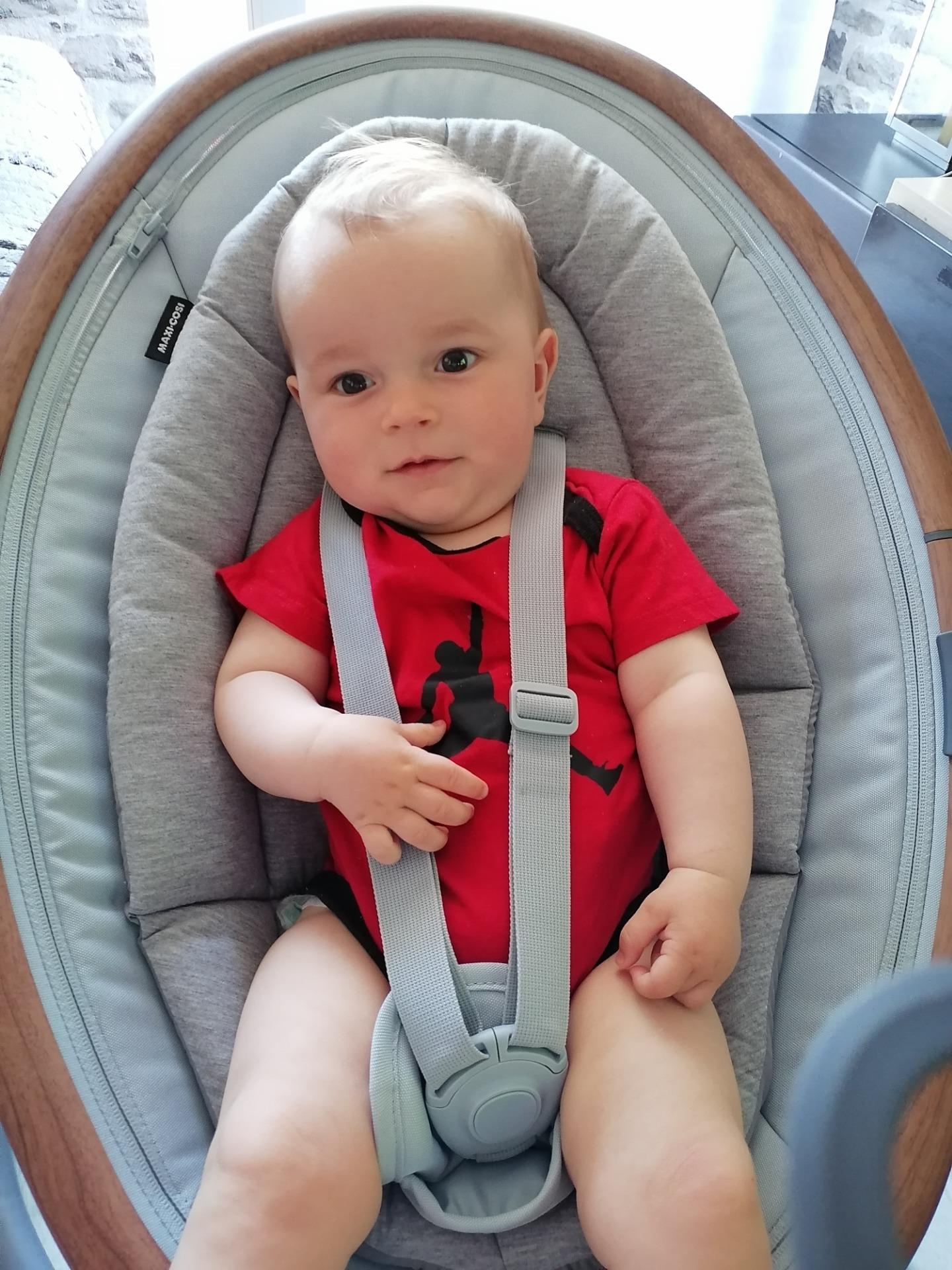 MaxiCosi Cassia Essential Graphite Ceny i opinie Ceneo.pl