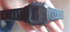 Casio Sport W-800H-1BVES