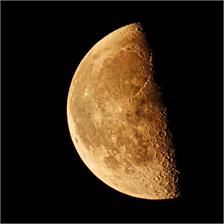 Nikon COOLPIX P950