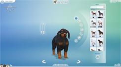 The Sims 4 Psy i Koty (Digital)
