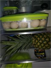 Dafi SeeYoo Zestaw limonkowy 5 szt.