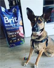 Brit Premium By Nature Light Niskokaloryczna 15Kg