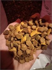 Whiskas Sterile Kurczak 14kg