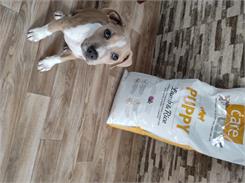 Brit Care Puppy All Breed Lamb&Rice 12Kg