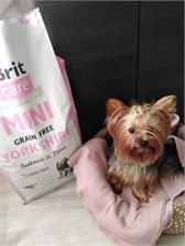 Brit Care Mini Grain Free Yorkshire York 7Kg