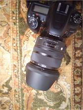 Sigma 24-70mm f/2.8 DG OS HSM ART (Nikon)