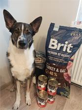 Brit Premium By Nature Light Niskokaloryczna 15Kg
