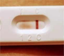 Labhome BabyCheck-1 WB Test ciążowy z krwi