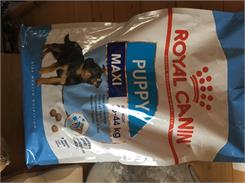 Royal Canin Maxi Puppy 4kg