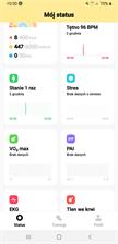 Xiaomi Mi Watch Lite Czarny