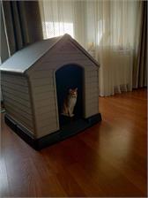 Beeztees Buda Dla Psa 95X99X99Cm