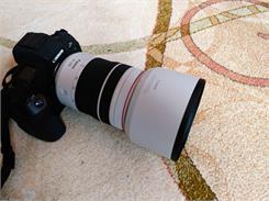 Canon RF 70-200mm F4L IS USM (4318C005)