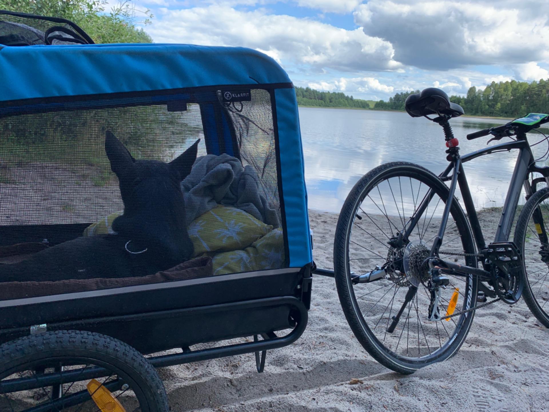 Rimorchio Bici Klarfit Husky Vario 2 In 1 - Per Cani, 240L, Carico 40kg, Tessuto Oxford 600D - Foto 7