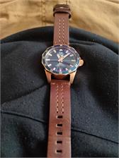 Vostok Europe NH35A-225B616
