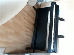 CASIO AP 270 BK