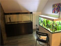 AQUAEL Szafka Glossy Czarna Zd 150X50
