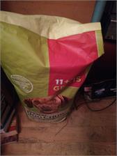 Dog Chow Adult Dla Dorosłych Psów z Jagnięciną 14kg