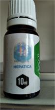 Hepatica 100% Olejek Z Dzikiego Oregano 10Ml Zawartość Karwakrolu 80%