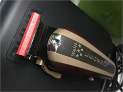 Wahl Legend 5 Star