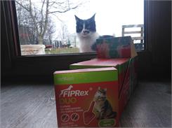 Vet-Agro Fiprex Duo Kot 50 Mg