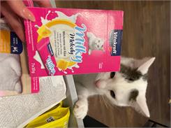 Vitakraft Cat Milky Melody Krem Z Mleka I Sera 70G 28819 