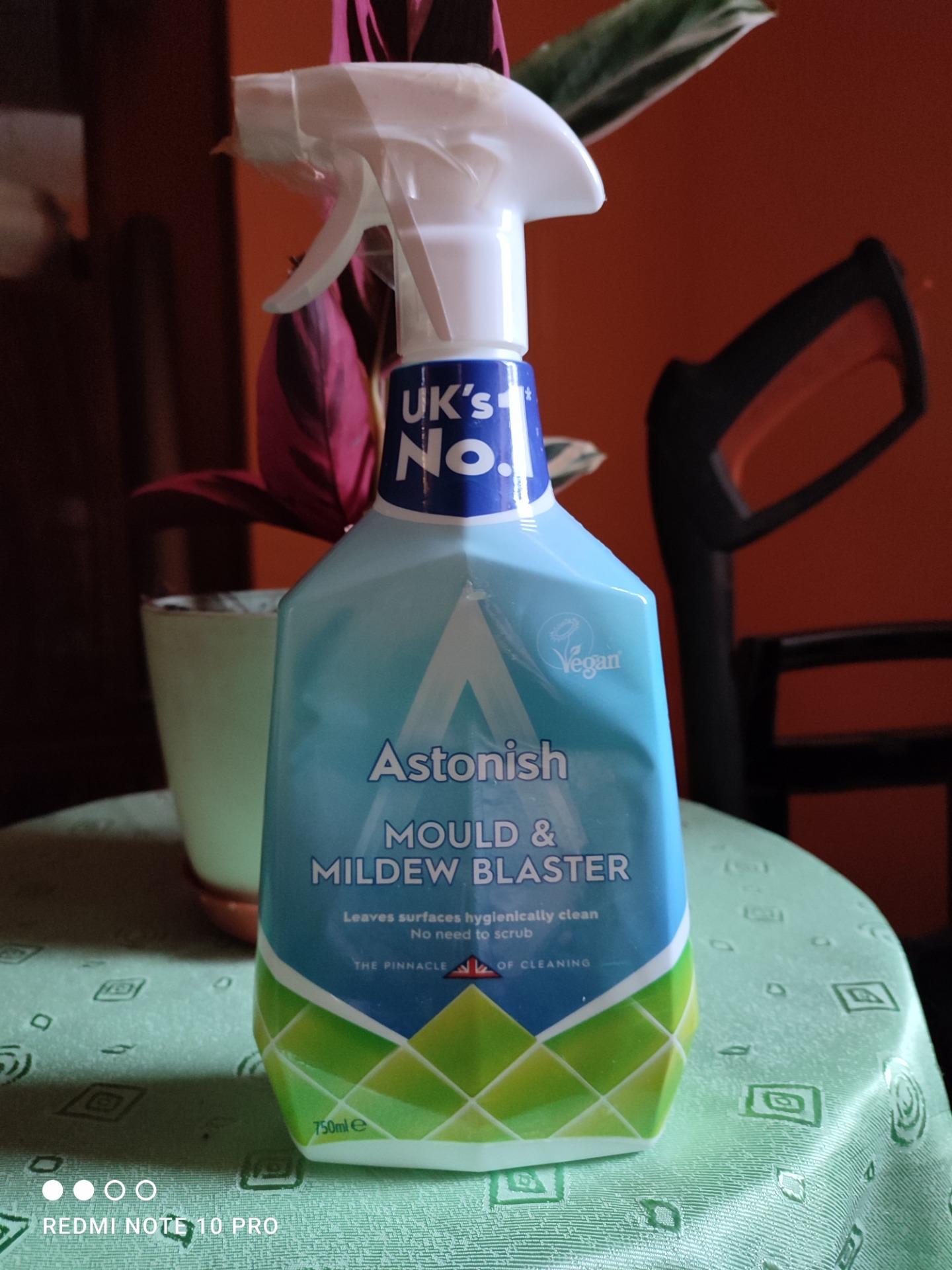 Astonish Mould & Mildew Remover Preparat do usuwania pleśni i grzybów