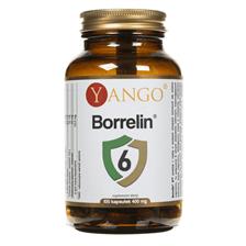 Yango Borrelin 6 wsparcie przy boreliozie 100 kaps
