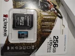 Kingston Canvas Go! Plus MicroSDXC 256GB UHS-I U3 (170R/90W)