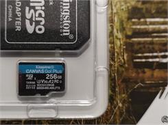 Kingston Canvas Go! Plus MicroSDXC 256GB UHS-I U3 (170R/90W)