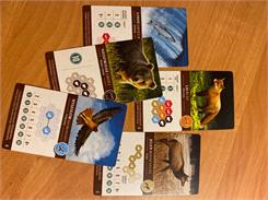 Lucky Duck Games Kaskadia (edycja polska)