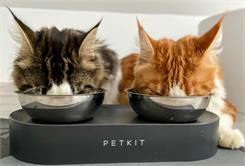 Petkit Fresh Nano Metal Podwójna Miska Z Regulowanym Kątem Nachylenia