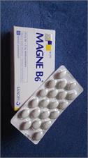Magne B6 60tabl.