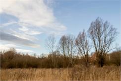 Canon EF-S 10-18mm f/4.5-5.6 IS STM (9519B009)