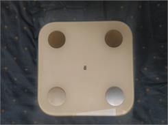 Xiaomi Mi Body Composition Scale 2