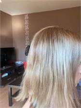 Gliss Color krem koloryzujący do włosów 8-16 Naturalny Popielaty Blond