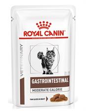 Royal Canin Veterinary Diet Feline Gastro Intestinal 85G