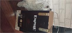 Empire Hipoalergiczna Karma Dla Dorosłych Psów Małych Ras 14X500G