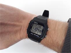 CASIO W-800H-1AVDF