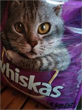 Whiskas Sterile Kurczak 14kg